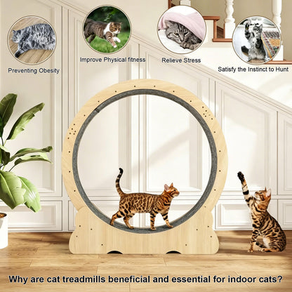 Large Cat Exercise Wheel