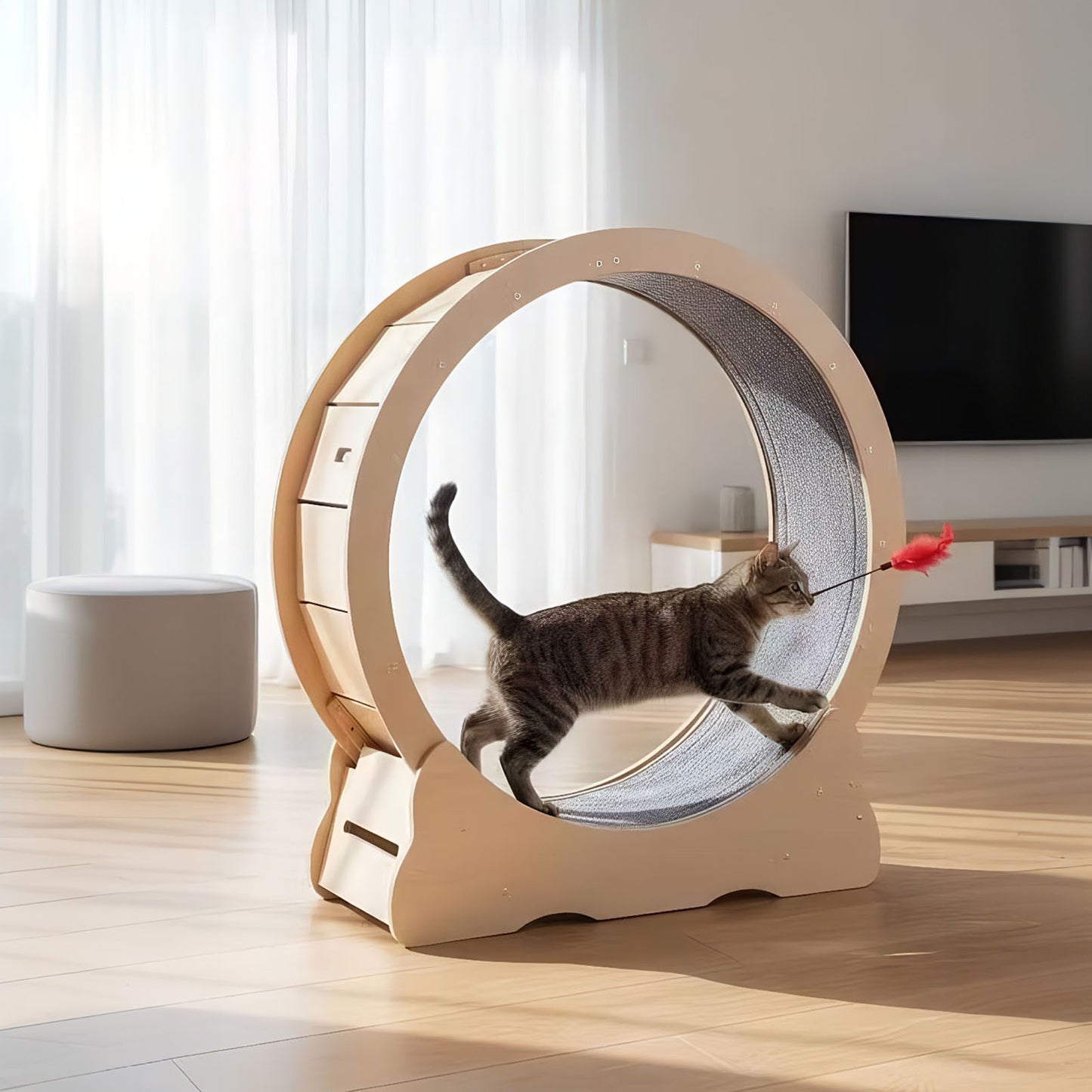 Large Cat Exercise Wheel