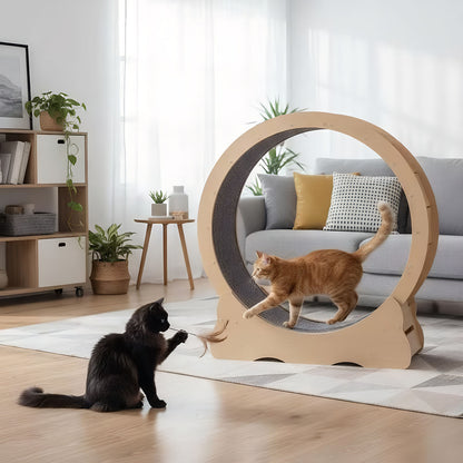 Large Cat Exercise Wheel