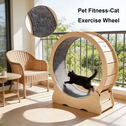 Large Cat Exercise Wheel