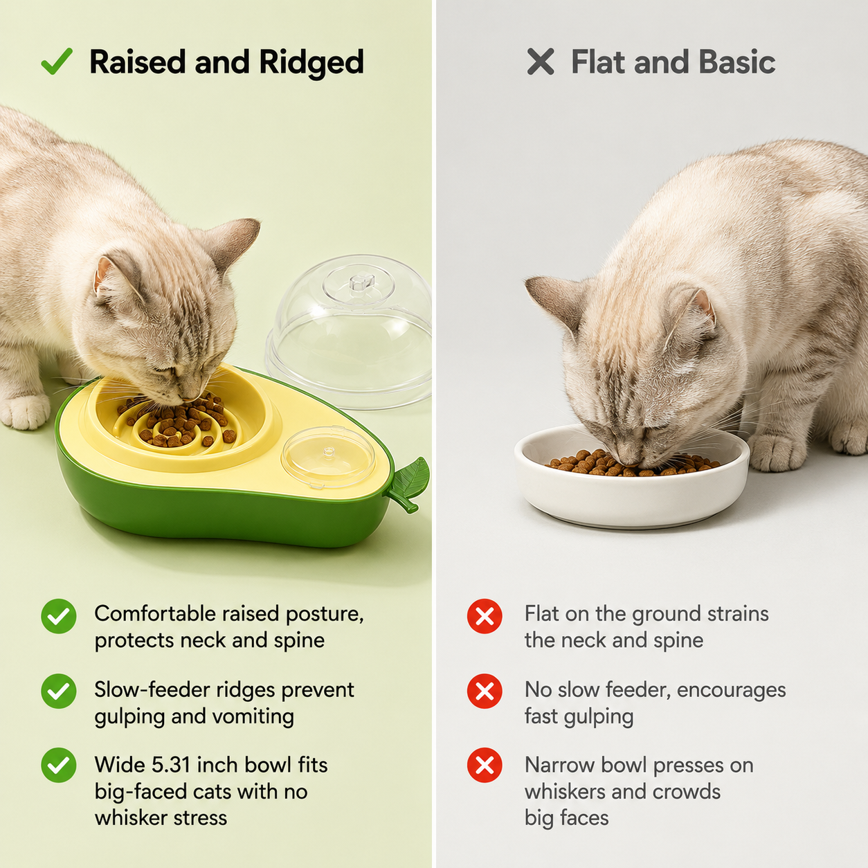 Avocado-Shape Pet Feeder & Water Bottle