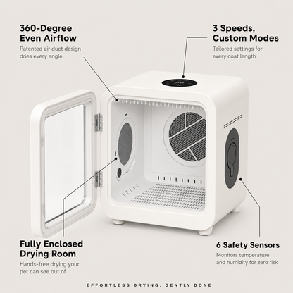 3-Speed Pet Dryer Room for Cats & Dogs