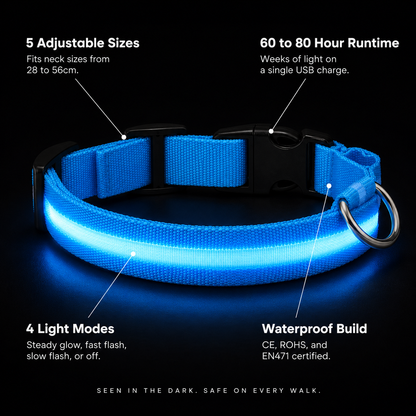 LED Glow-in-the-Dark Pet Collar – Rechargeable & Adjustable