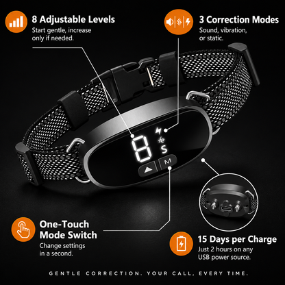 Anti-Bark Collar – Dog Training