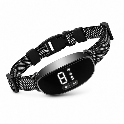 Anti-Bark Collar – Dog Training