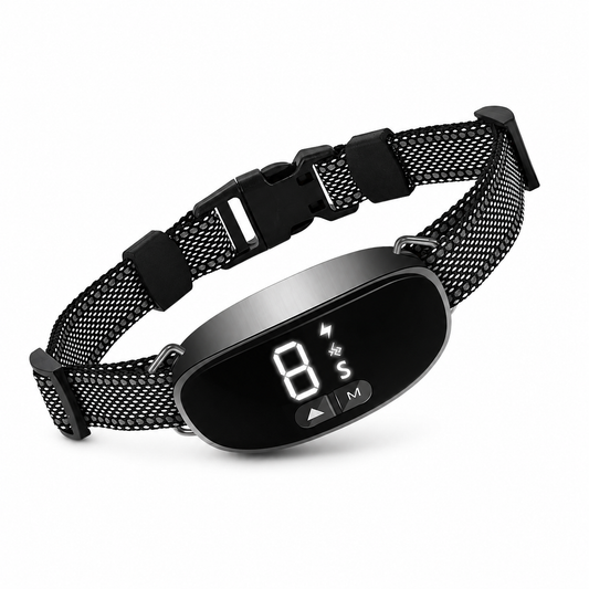 Anti-Bark Collar – Dog Training