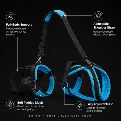 Pet Dog Auxiliary Strap – Blue