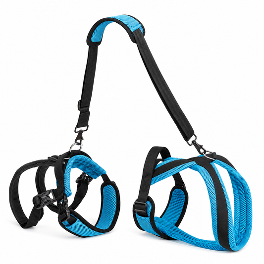Pet Dog Auxiliary Strap – Blue