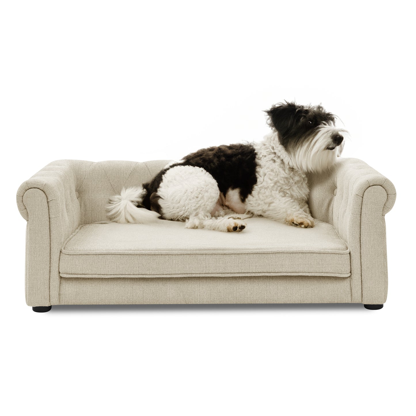 Elevated Rectangle Pet Bed – Beige, 40x23x14in