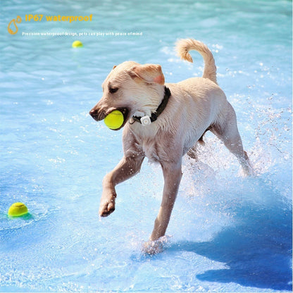 Pet GPS Global Locator & Activity Monitoring