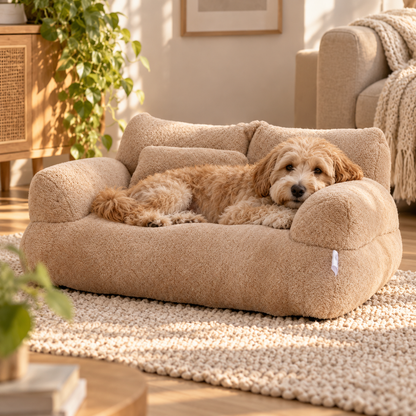 Luxury Cat Sofa Bed with Pillow