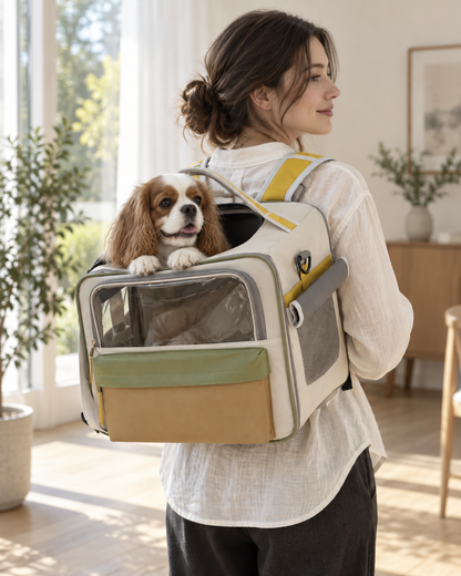 Transparent Window Pet Backpack Carrier